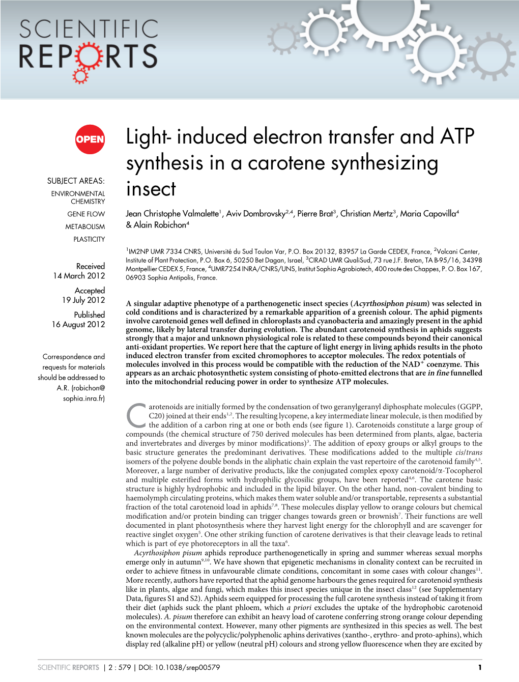 Induced Electron Transfer and ATP Synthesis in a Carotene Synthesizing Insect