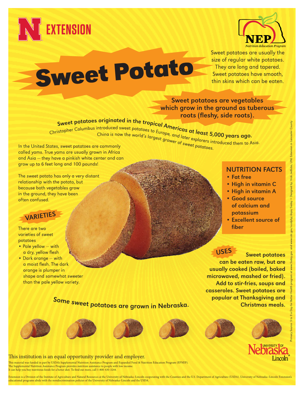 Sweet Potatoes Are Usually the Size of Regular White Potatoes