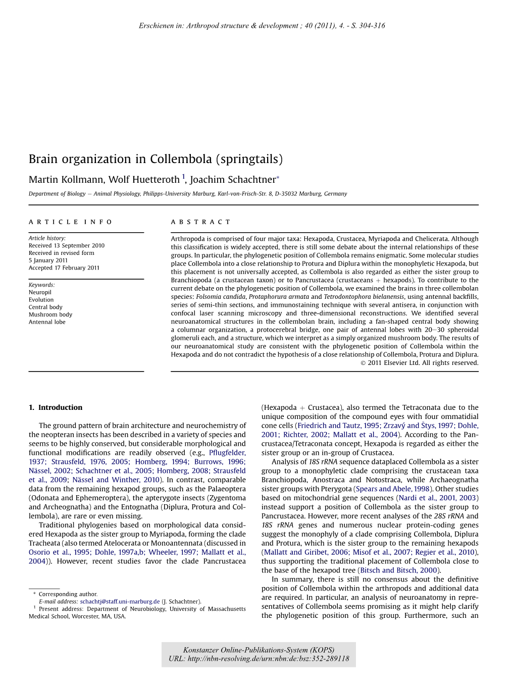 Brain Organization in Collembola (Springtails)