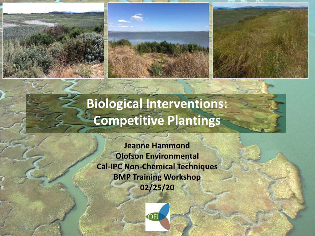 Biological Interventions: Competitive Plantings