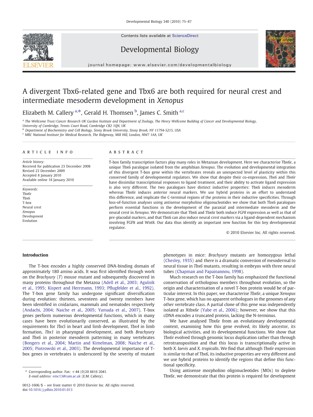 A Divergent Tbx6-Related Gene and Tbx6 Are Both Required for Neural Crest and Intermediate Mesoderm Development in Xenopus