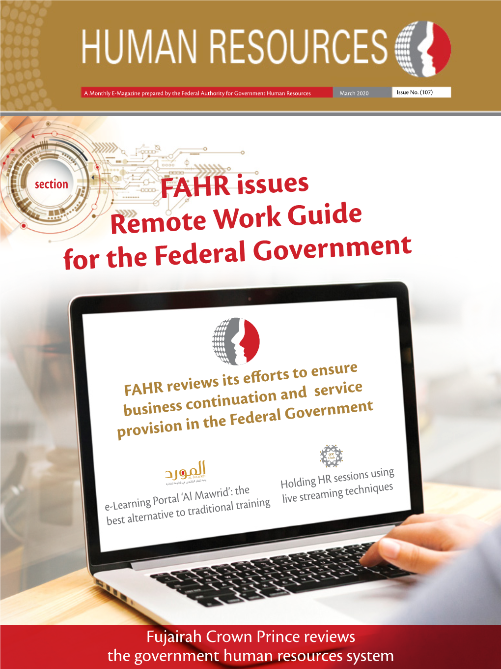 FAHR Issues Remote Work Guide for the Federal Government