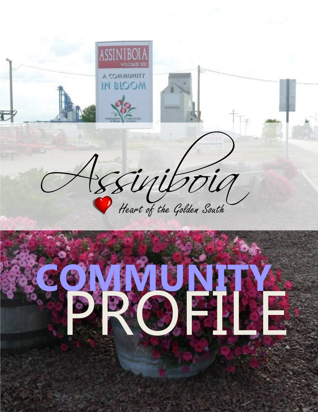 Assiniboia Community Profile April 29 2016