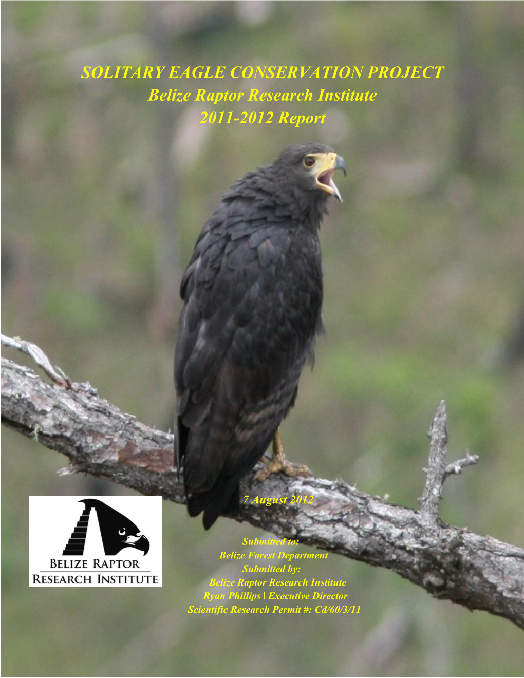 Belize Raptor Research Institute Solitary Eagle Conservation Project Report 2012