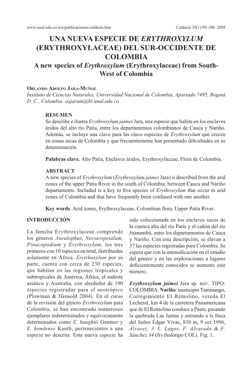 UNA NUEVA ESPECIE DE ERYTHROXYLUM (ERYTHROXYLACEAE) DEL SUR-OCCIDENTE DE COLOMBIA a New Species of Erythroxylum (Erythroxylaceae) from South- West of Colombia