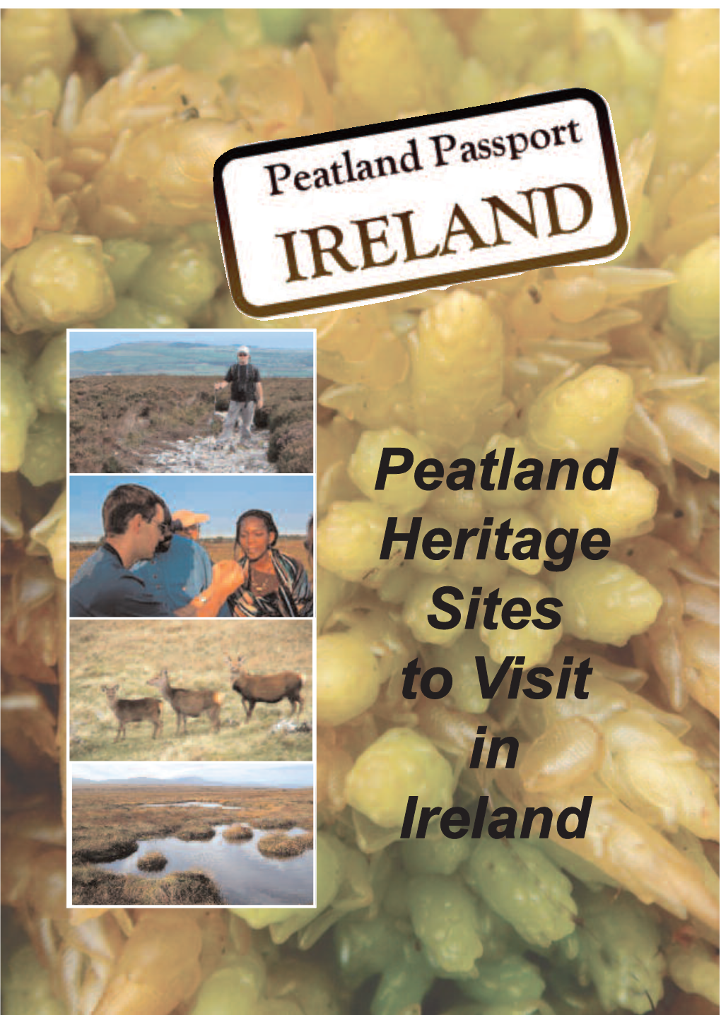 Peatland Passport: Ireland Peatland Passport: Ireland 3 Peatland Habitats & Wildlife