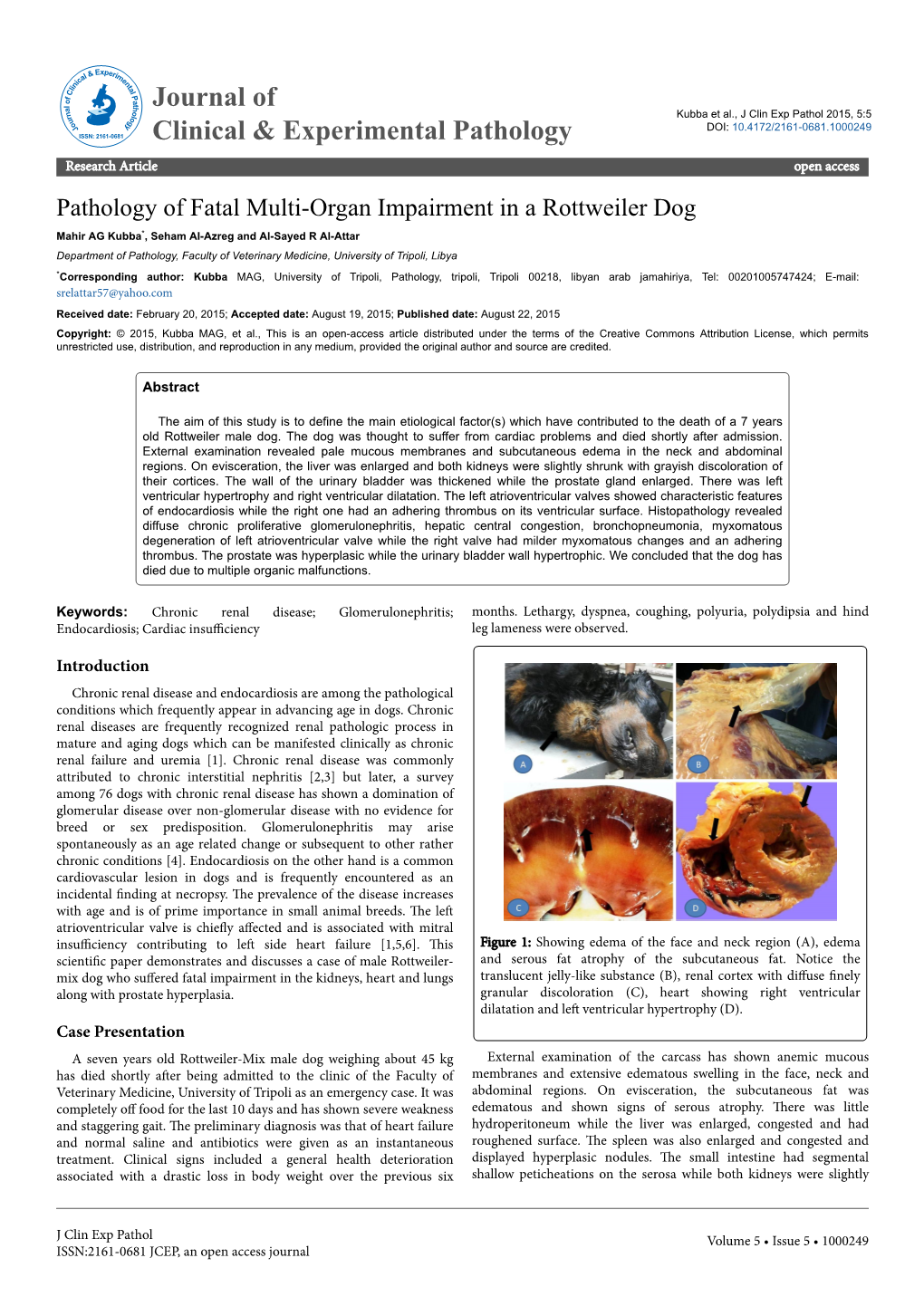 Pathology of Fatal Multi-Organ Impairment in a Rottweiler