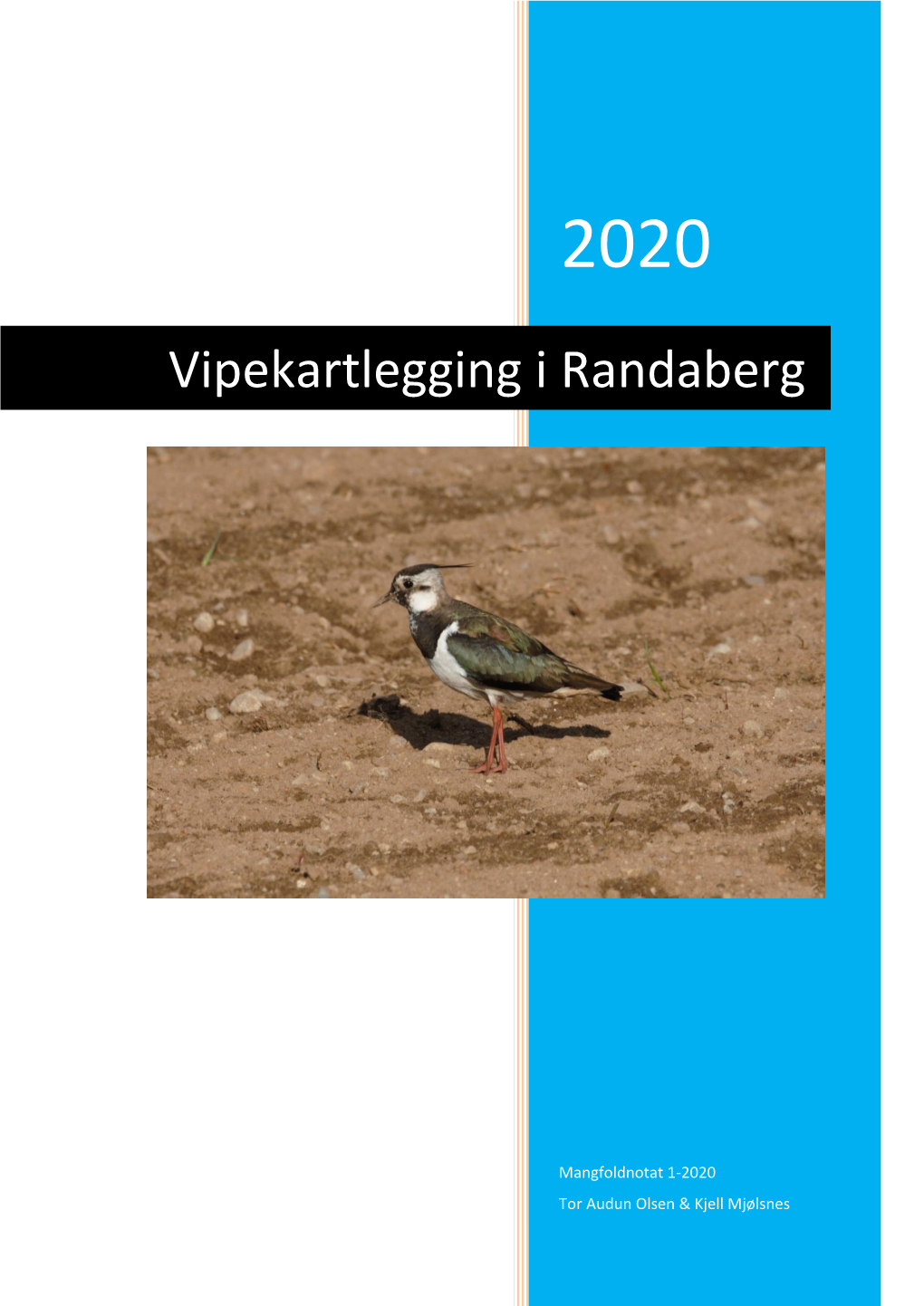 Mangfoldnotat 1-2020 Vipe I Randaberg