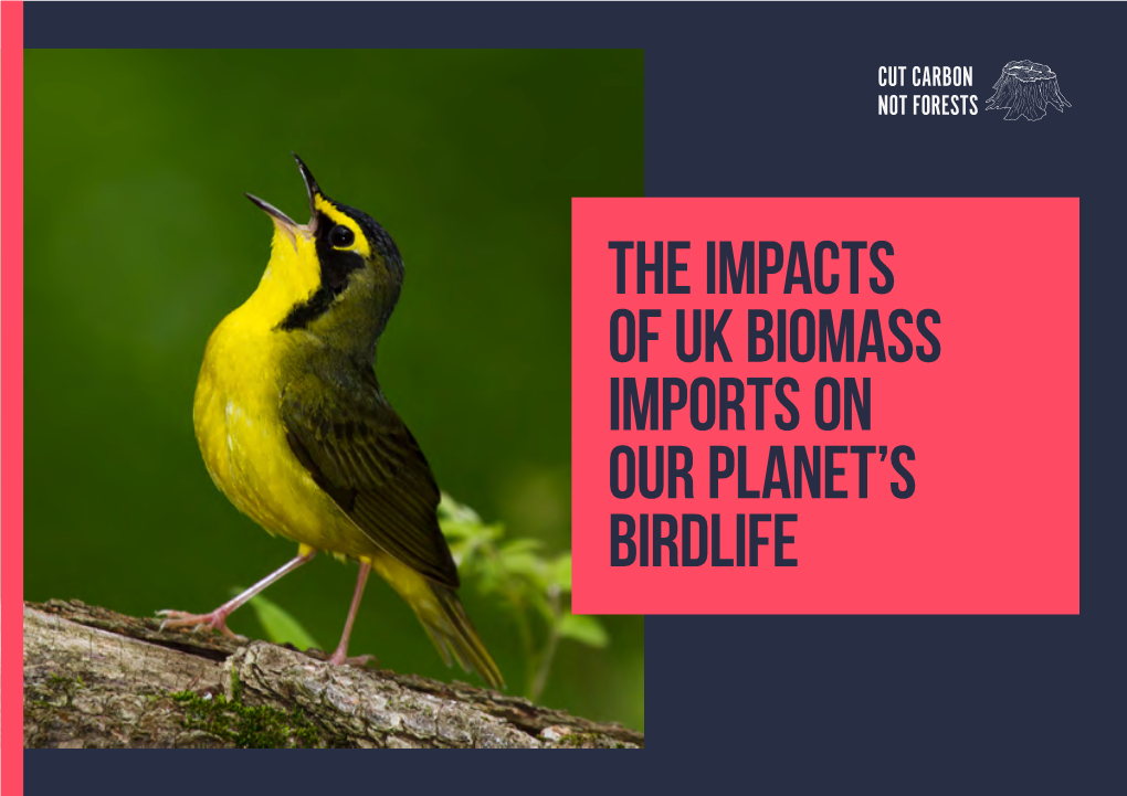 The Impacts of UK Biomass Imports on Our Planet's Birdlife