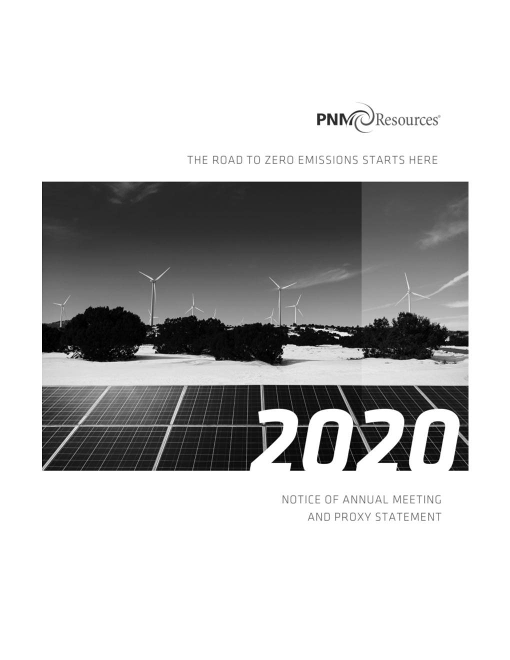 2020 Proxy Statement; Our 2019 Annual Report on Form 10-K; a Shareholder Letter from Patricia K