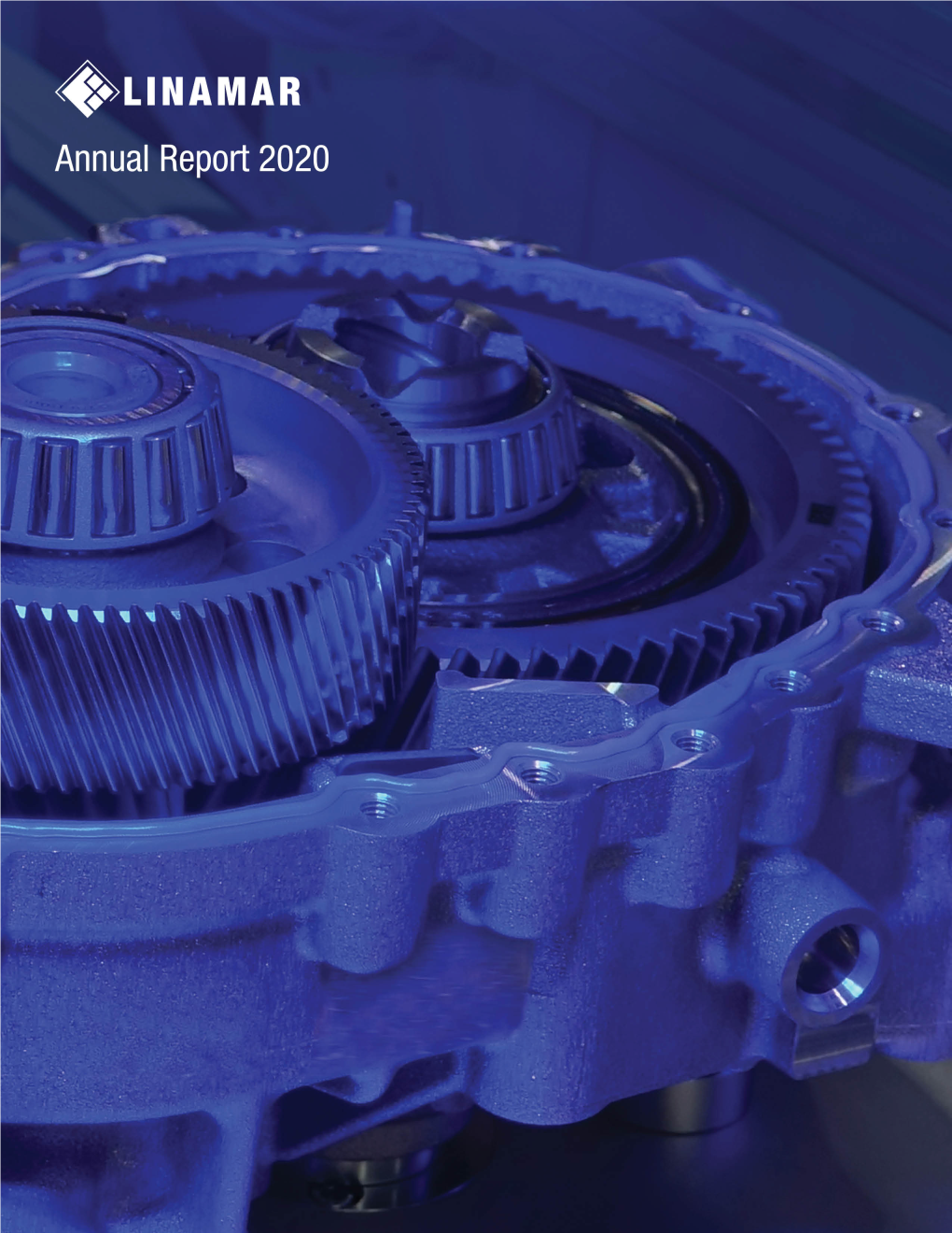 Annual Report 2020