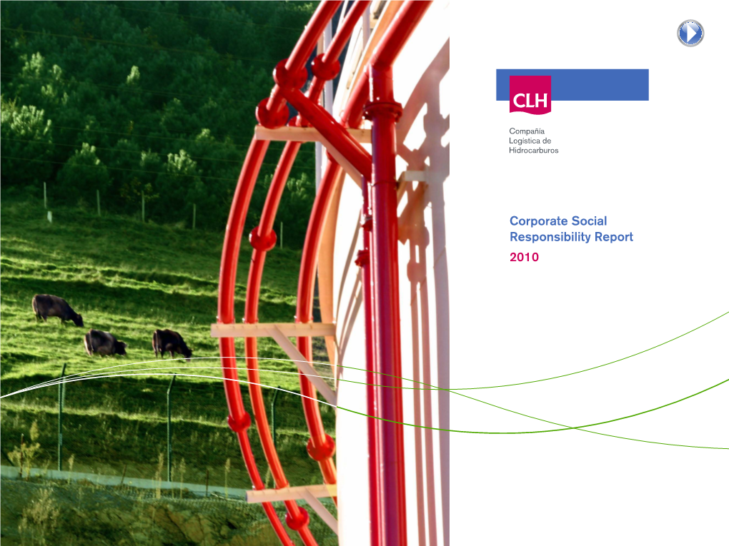 2010 Annual Reports CLH Group