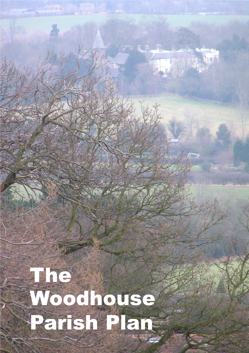 The Woodhouse Parish Plan 1 the Woodhouse Parish Plan