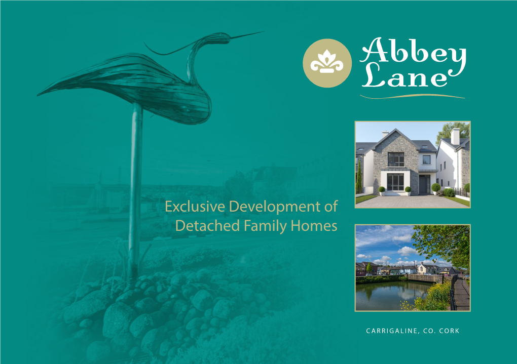 Exclusive Development of Detached Family Homes Abbey Lane C ARRIGALINE, CO
