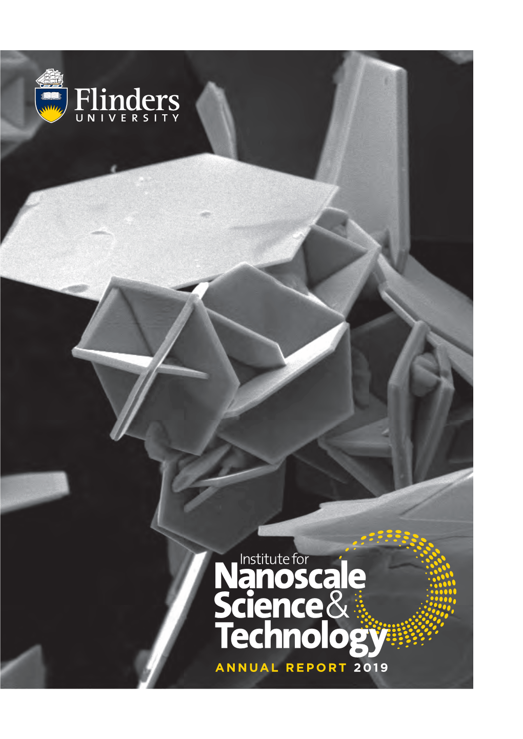 Institute for Nanoscale and Technology