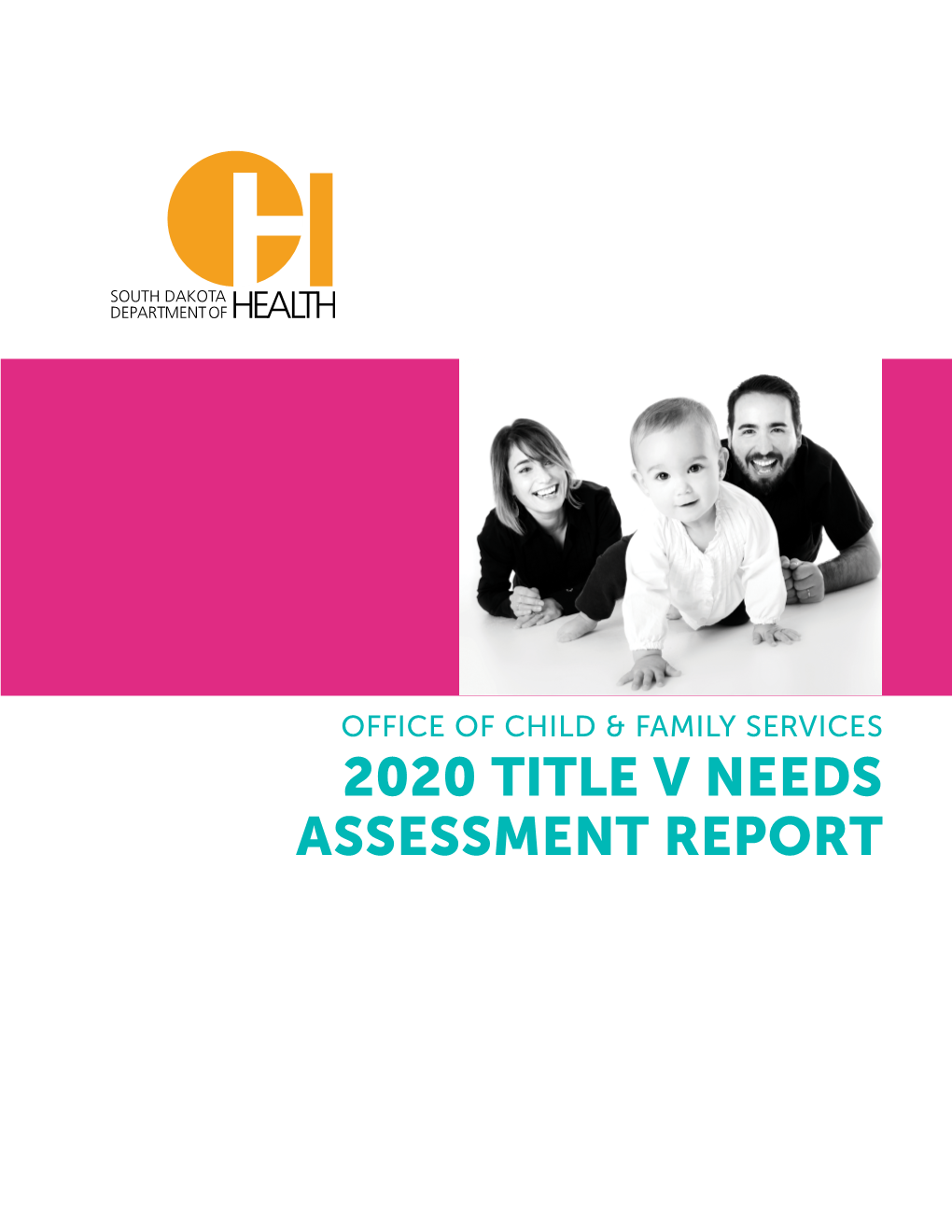 2020 TITLE V NEEDS ASSESSMENT REPORT TABLE of CONTENTS Executive Summary