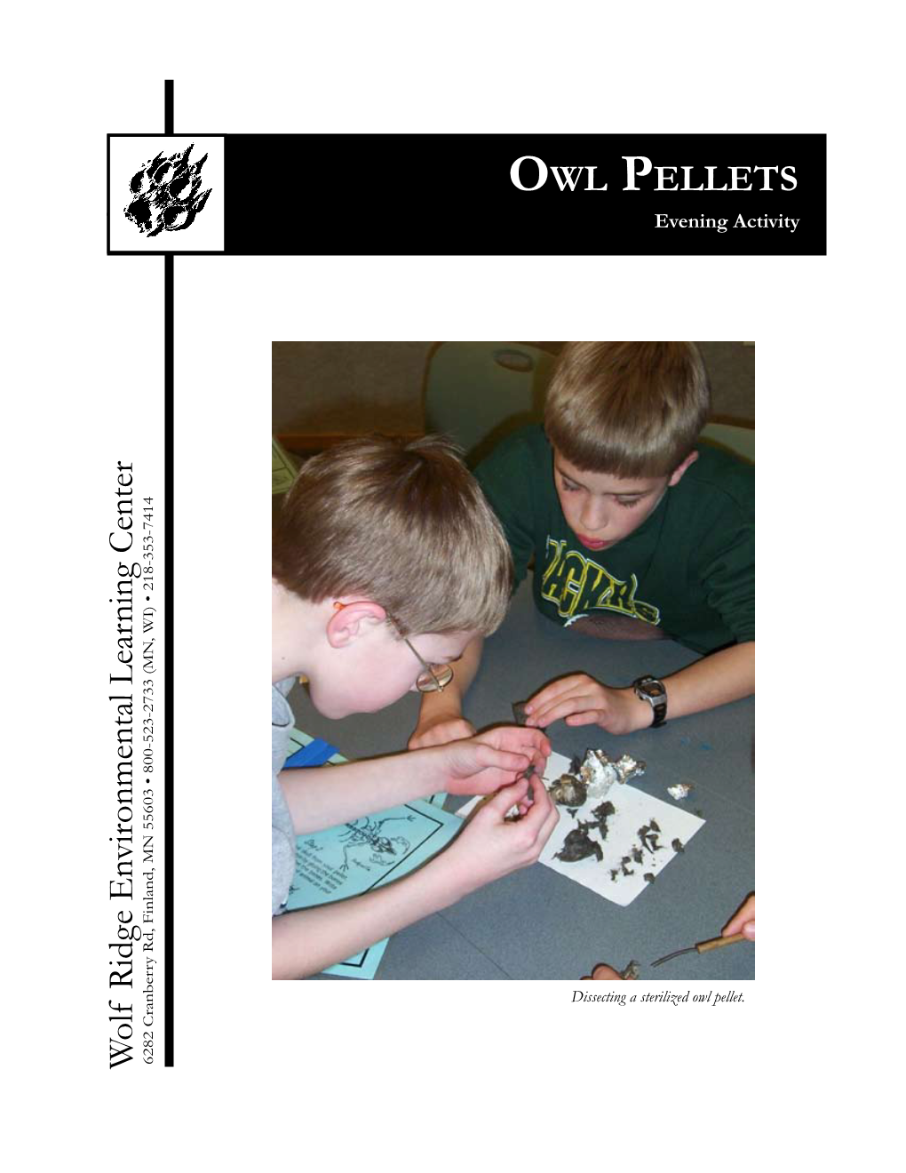 Owl Pellets Evening Activity