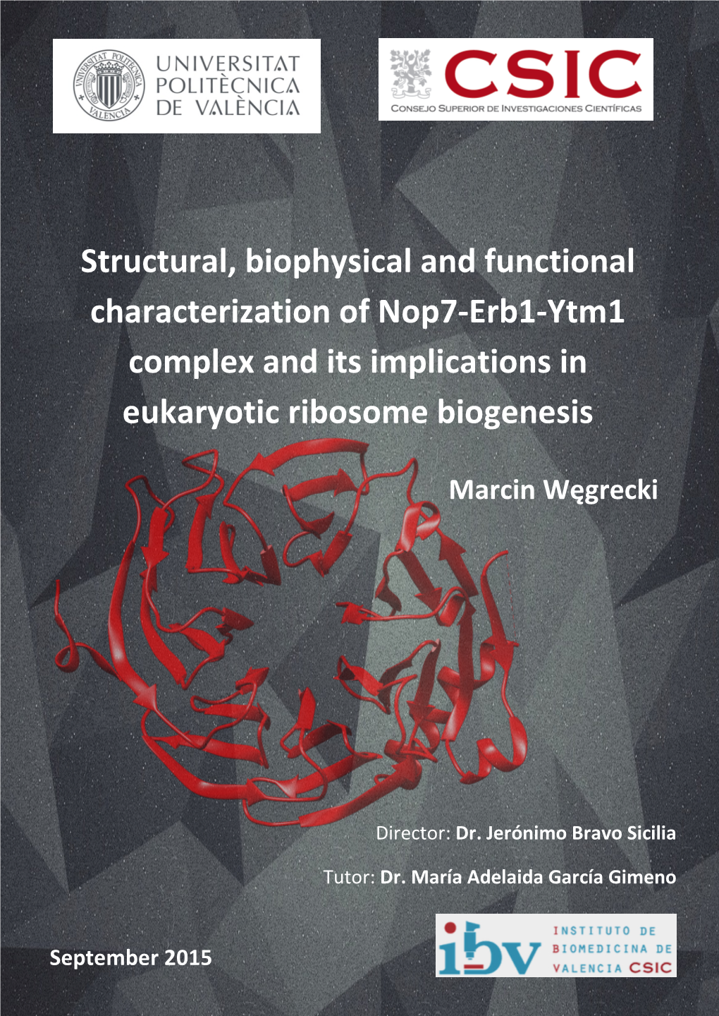 Structural, Biophysical and Functional Characterization of Nop7-Erb1-Ytm1 Complex and Its Implications in Eukaryotic Ribosome Biogenesis