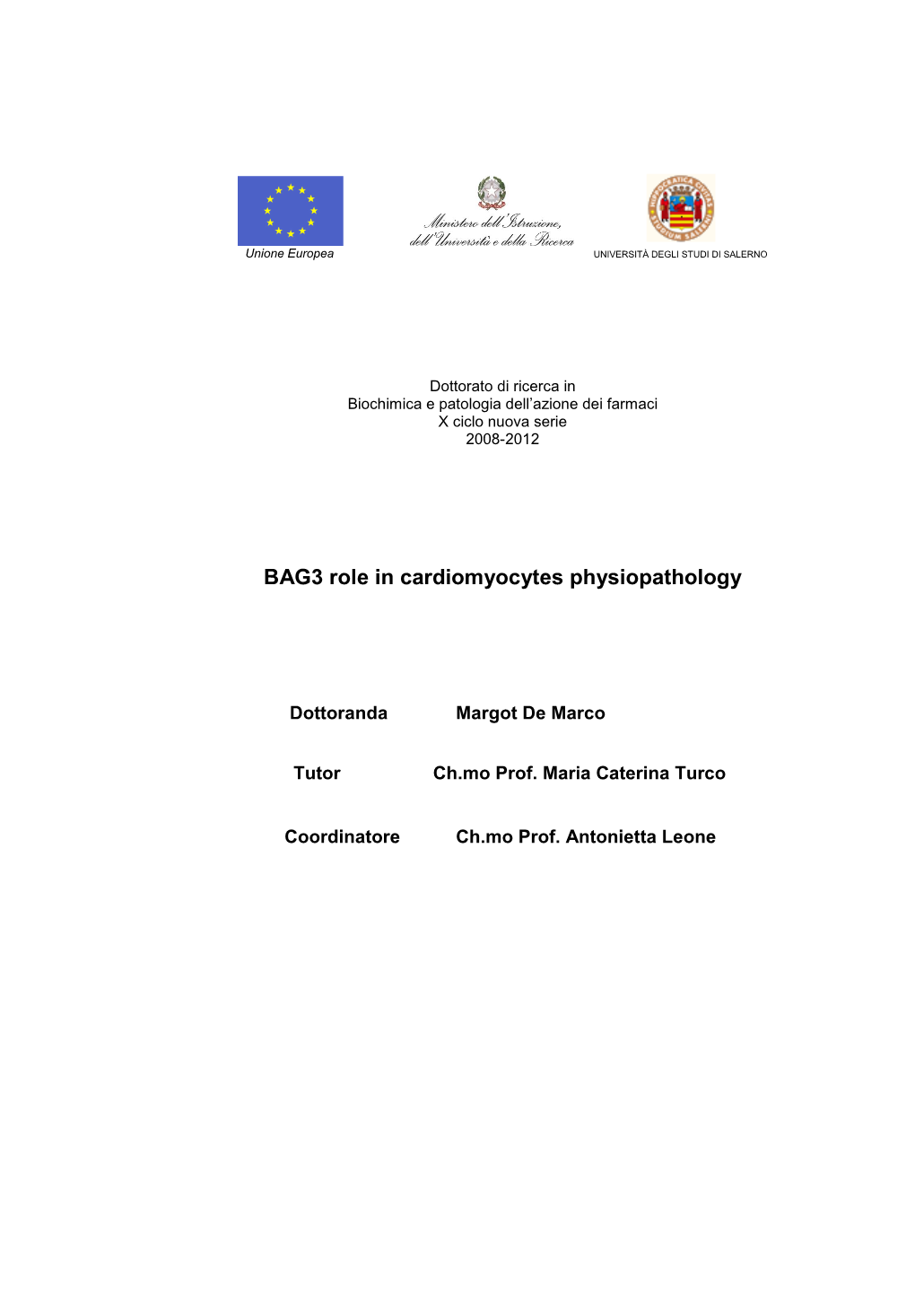 BAG3 Role in Cardiomyocytes Physiopathology