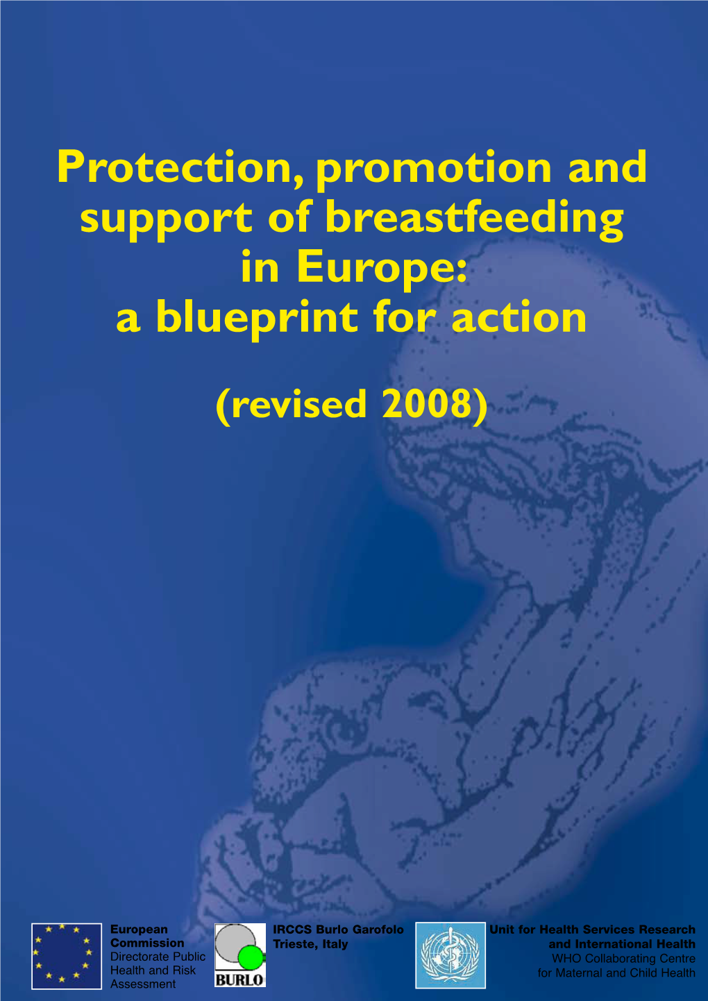 Protection, Promotion and Support of Breastfeeding in Europe: a Blueprint for Action