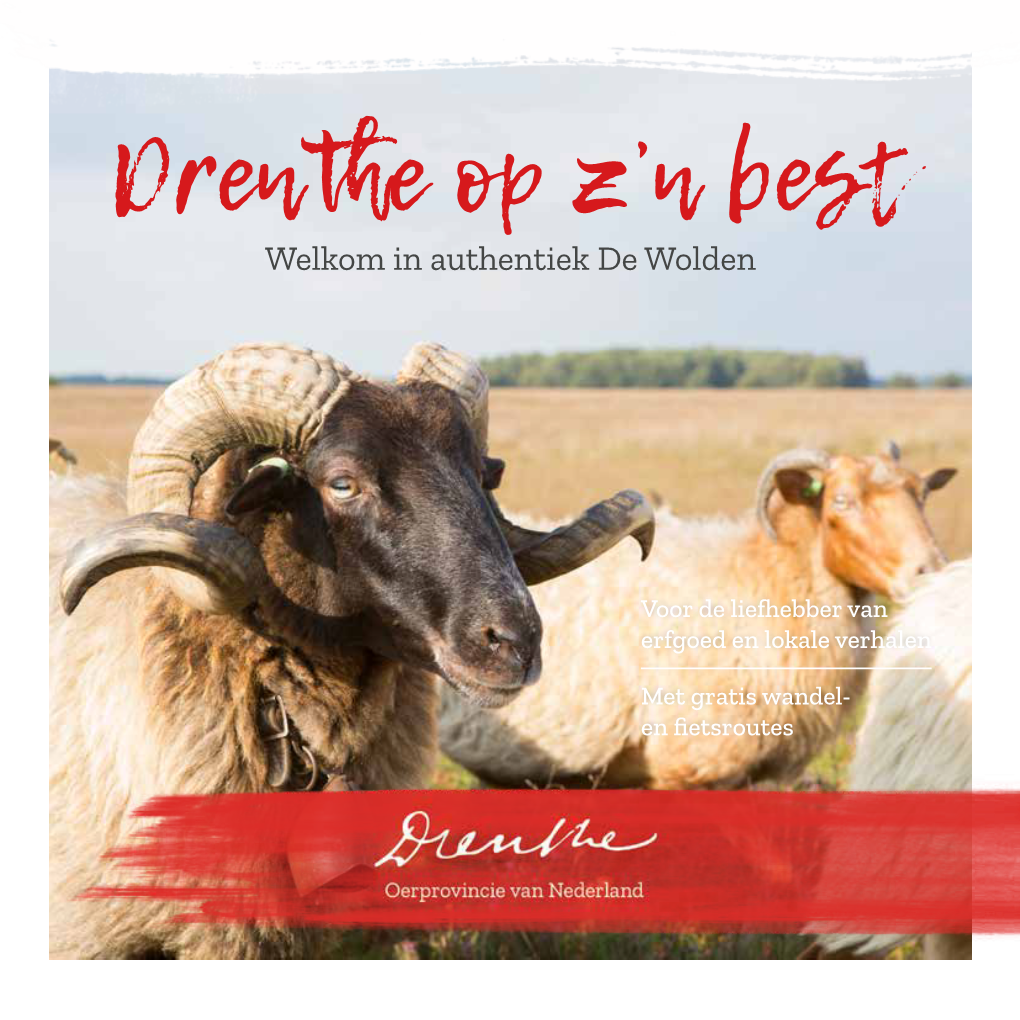 Drenthe Op Z'n Best