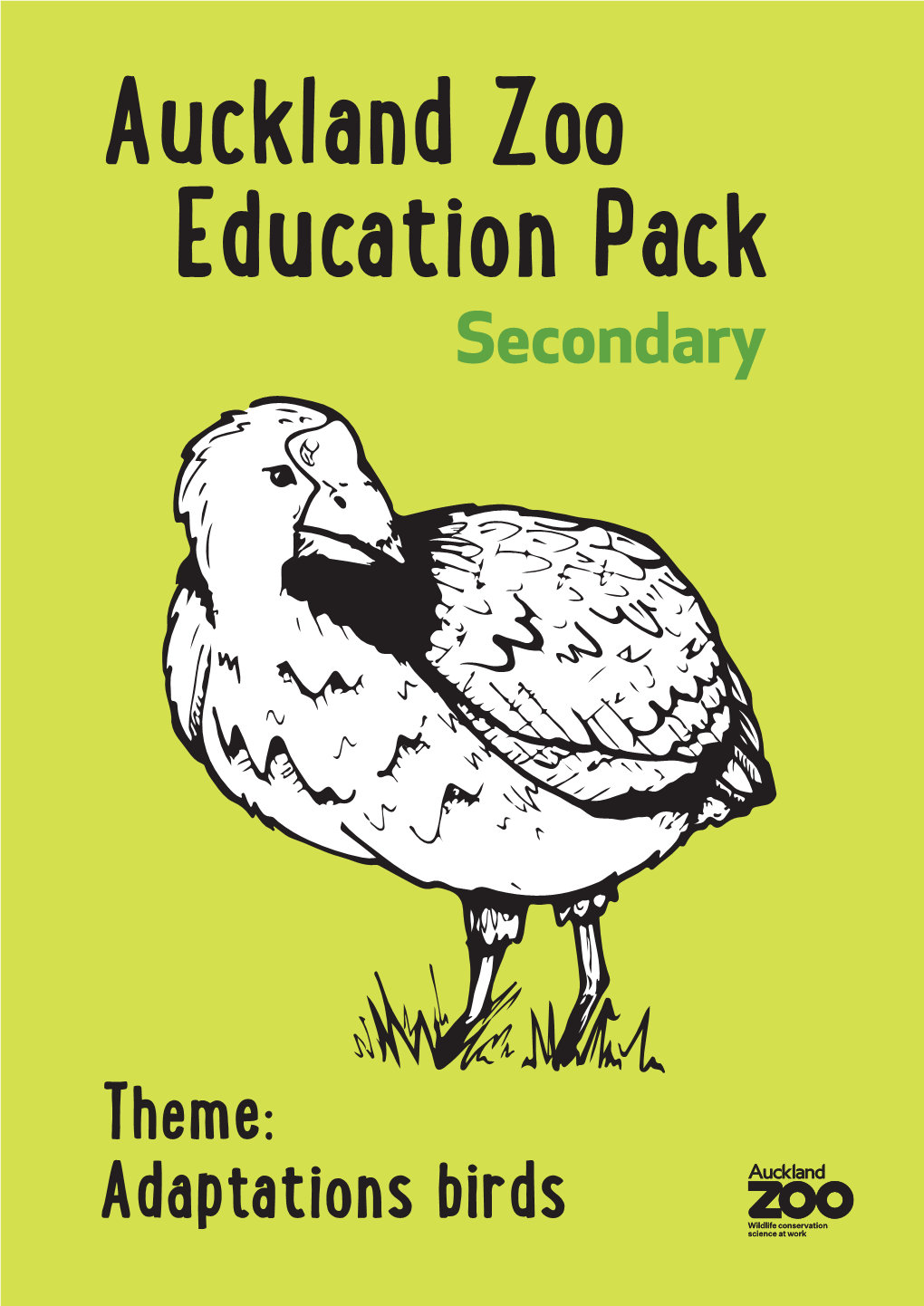 Secondary Zoo Lesson Plan