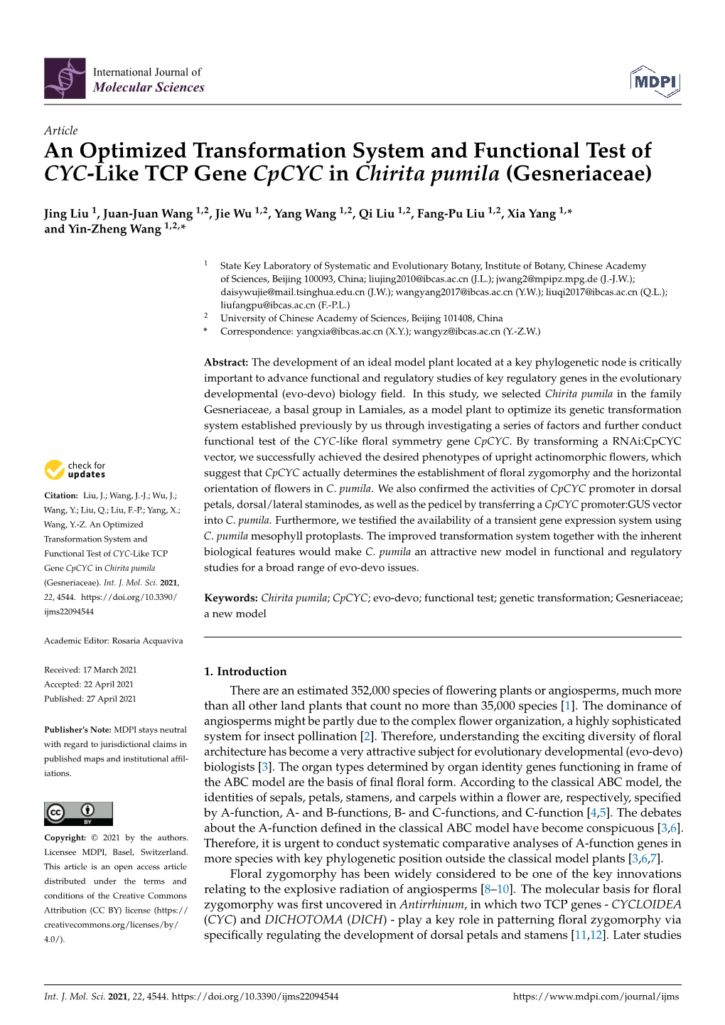 An Optimized Transformation System and Functional Test of CYC-Like TCP Gene Cpcyc in Chirita Pumila (Gesneriaceae)