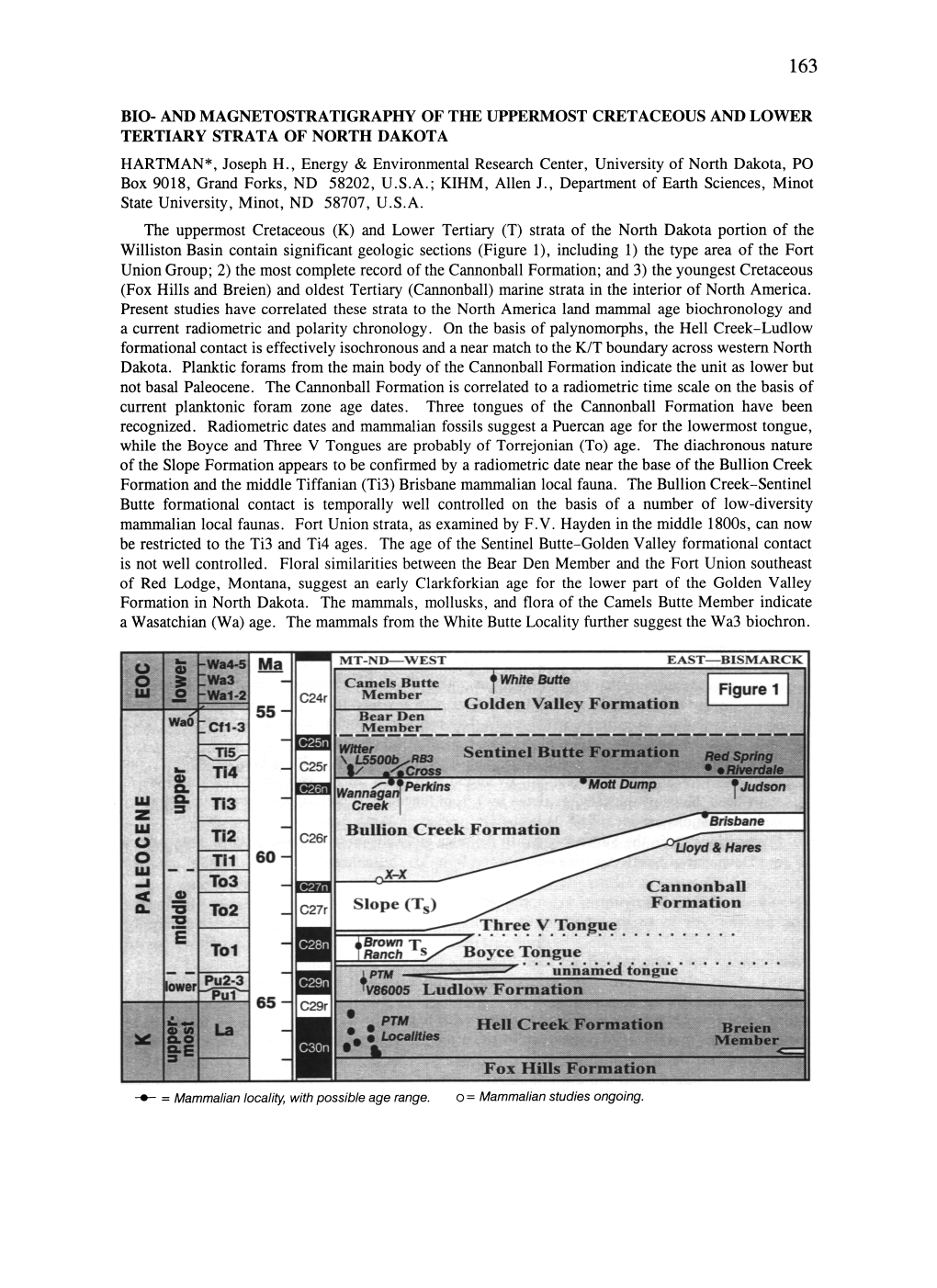 Bio- and Magnetostratigraphy of the Uppermost