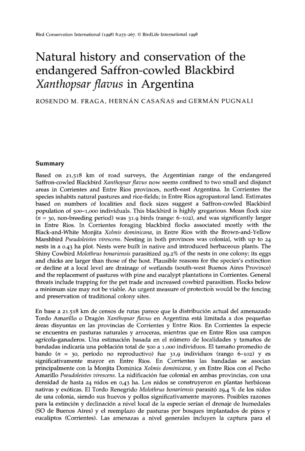 Natural History and Conservation of the Endangered Saffron-Cowled Blackbird Xanthopsar Flavus in Argentina
