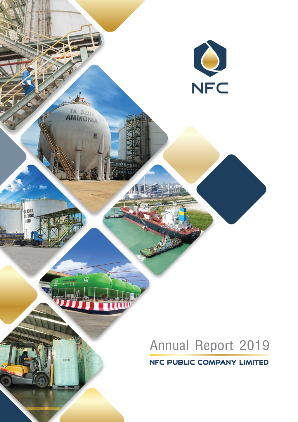 Annual Report 2019 File Size
