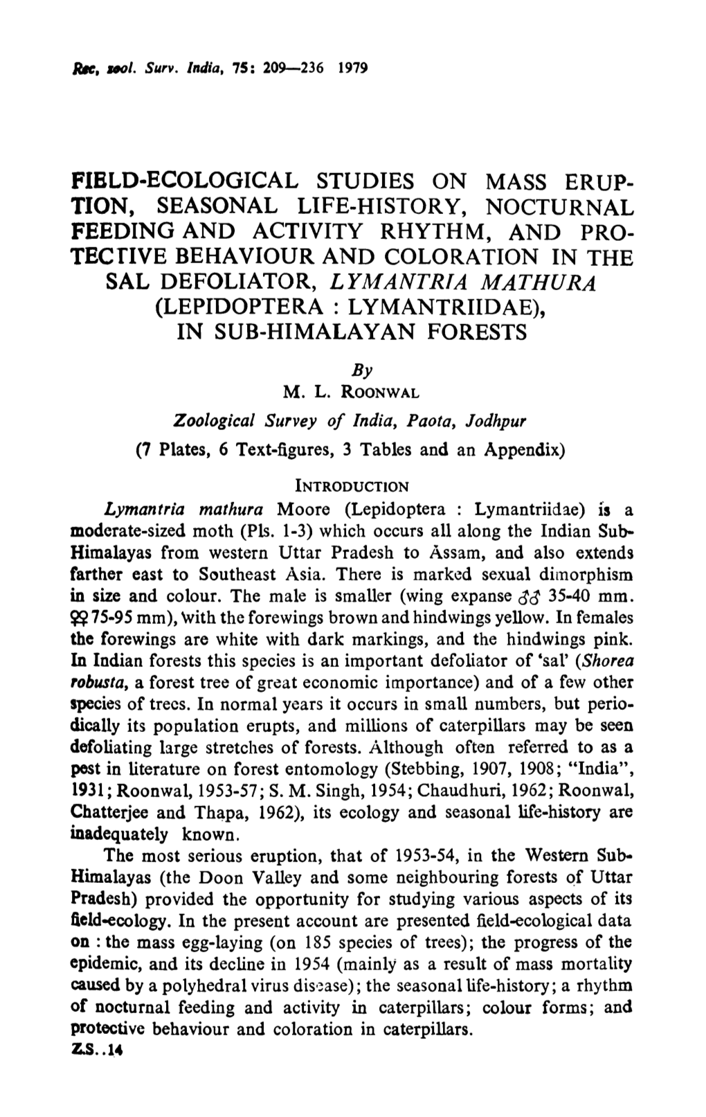 SAL DEFOLIATOR, LYMANTRIA MATHURA Z.S