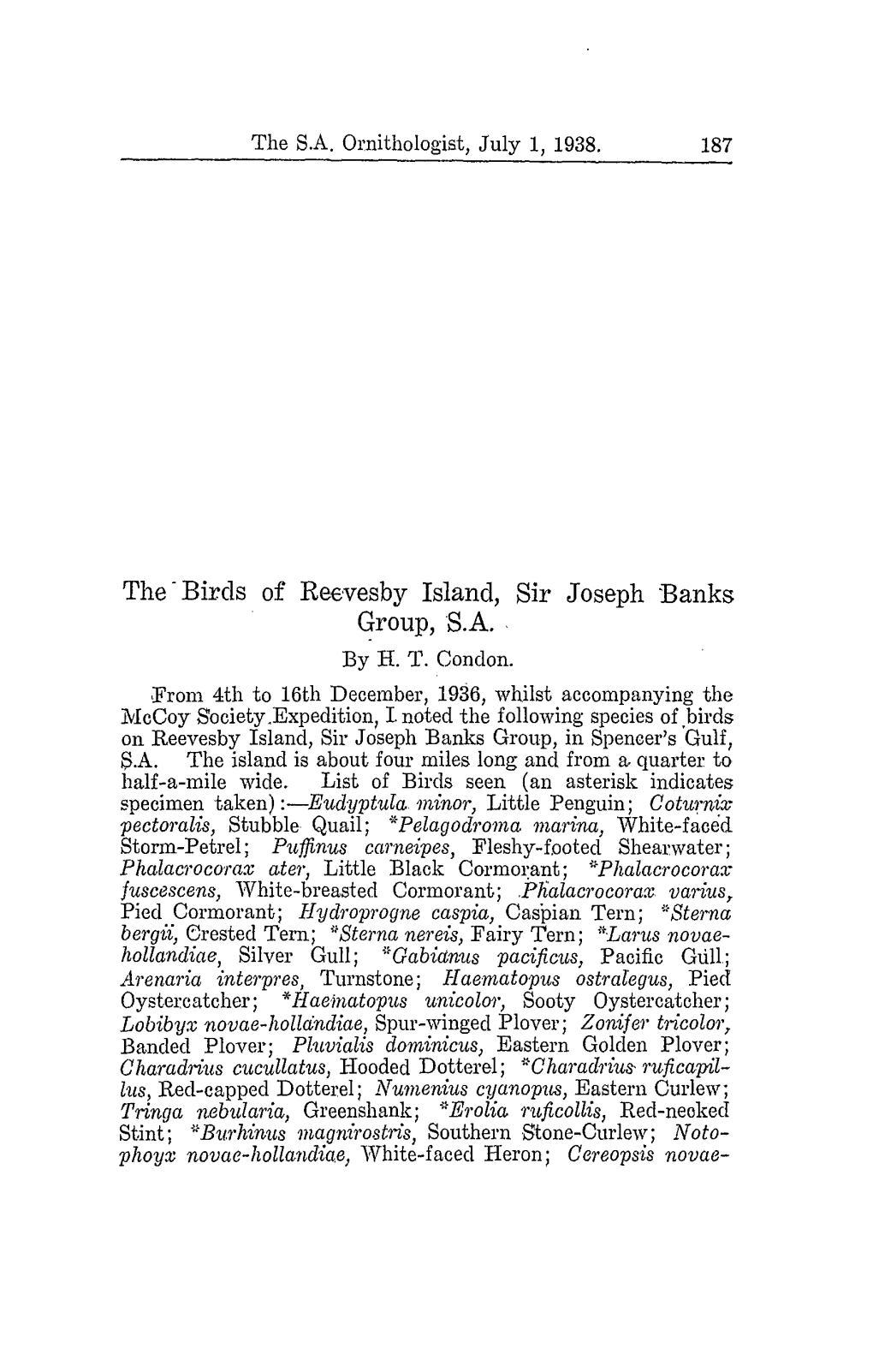 The-Birds of Reevesby Island, Sir Joseph Banks Group,8.A