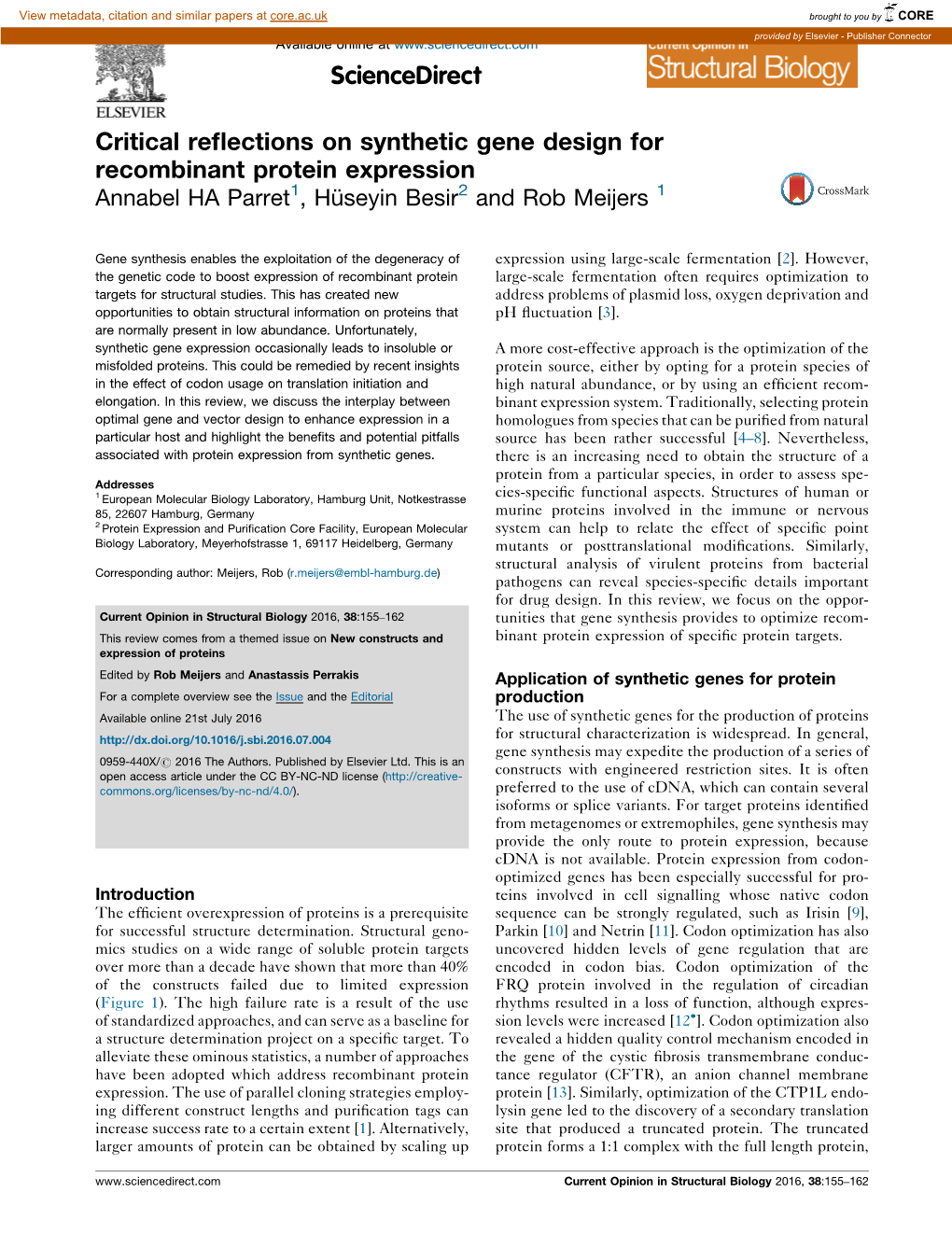 Critical Reflections on Synthetic Gene Design for Recombinant Protein