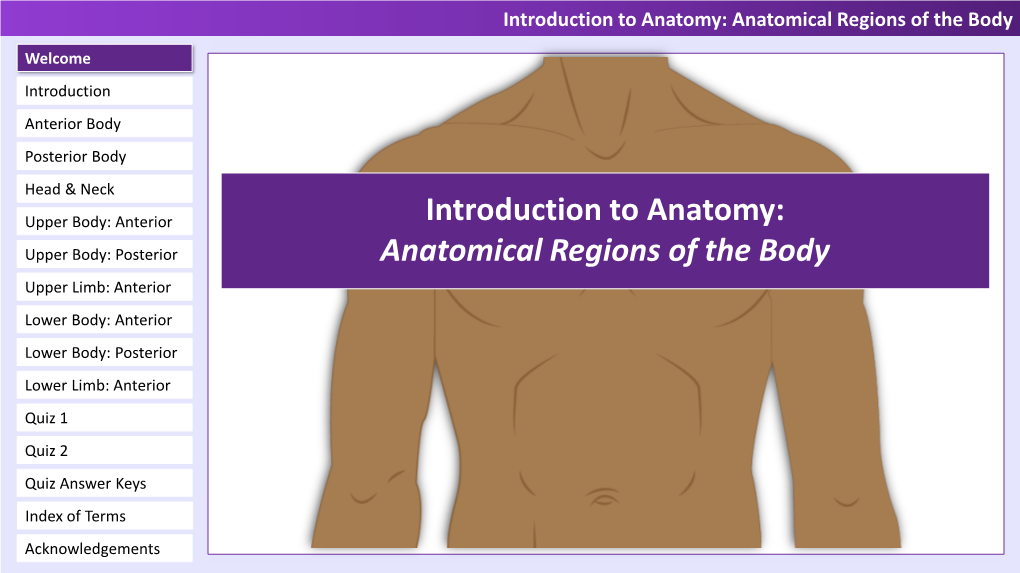 Introduction to Anatomy: Anatomical Regions of the Body