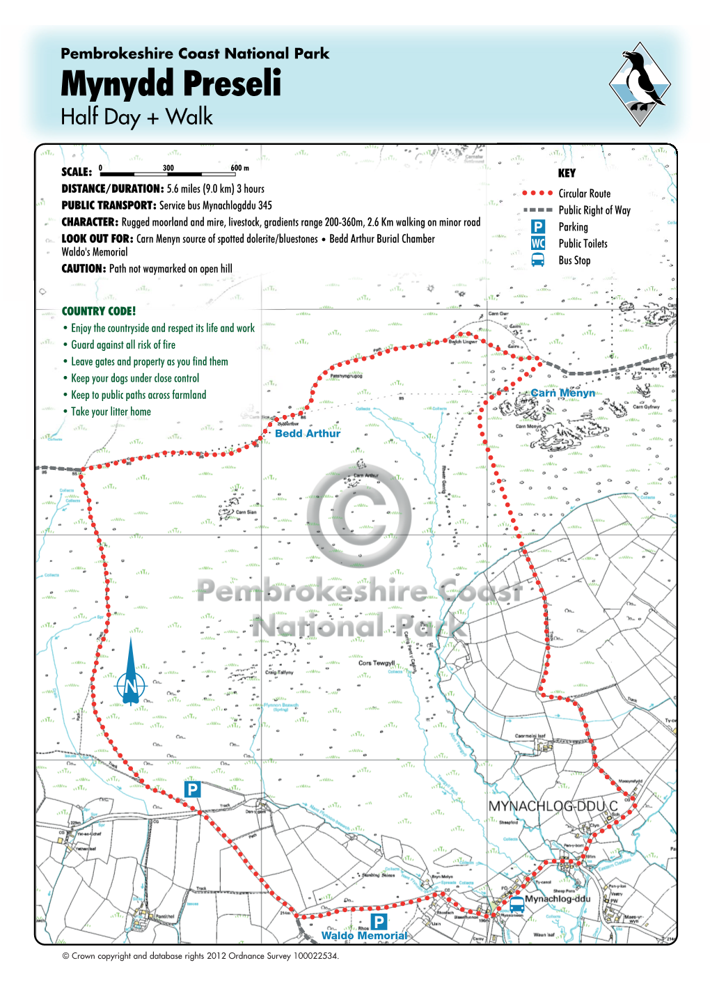 Mynydd Preseli Half Day + Walk