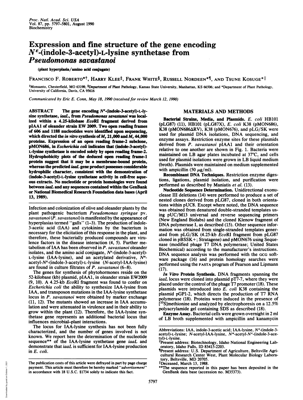 L-Lysine Synthetase Is Encoded Solely by Open Reading Frame-2