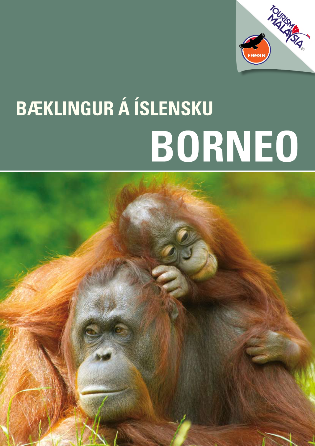 BORNEO Borneo Það Eru 3 Lönd Sem Skipta 3Ju Stærstu Eyju Heims, Borneo Á Milli Sín