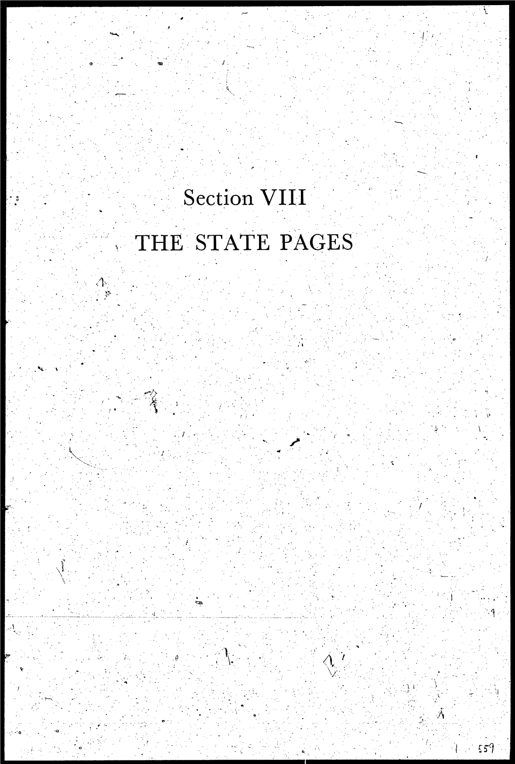 Section VIII the STATE PAGES