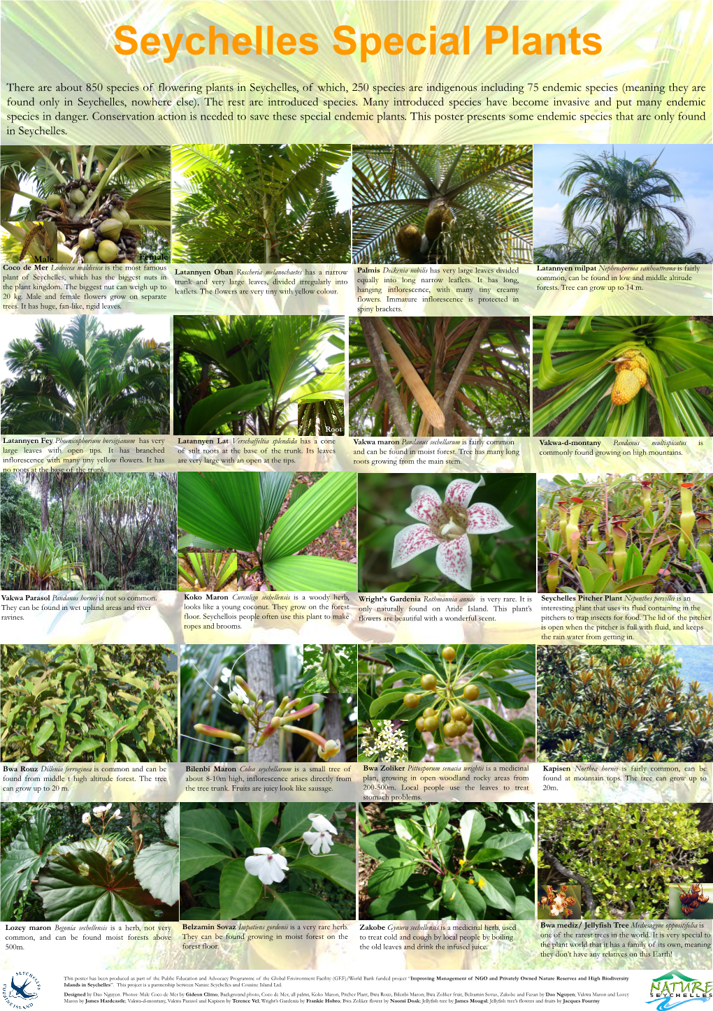 Special Seychelles Plants