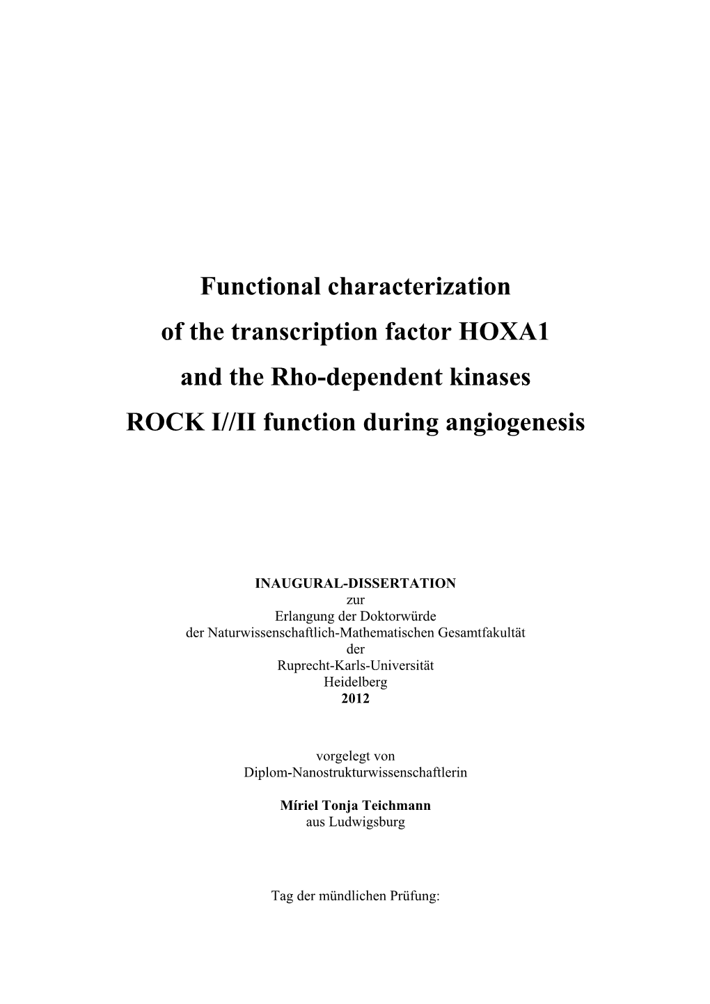 Functional Characterization of the Transcription Factor HOXA1 and the Rho-Dependent Kinases ROCK I//II Function During Angiogenesis