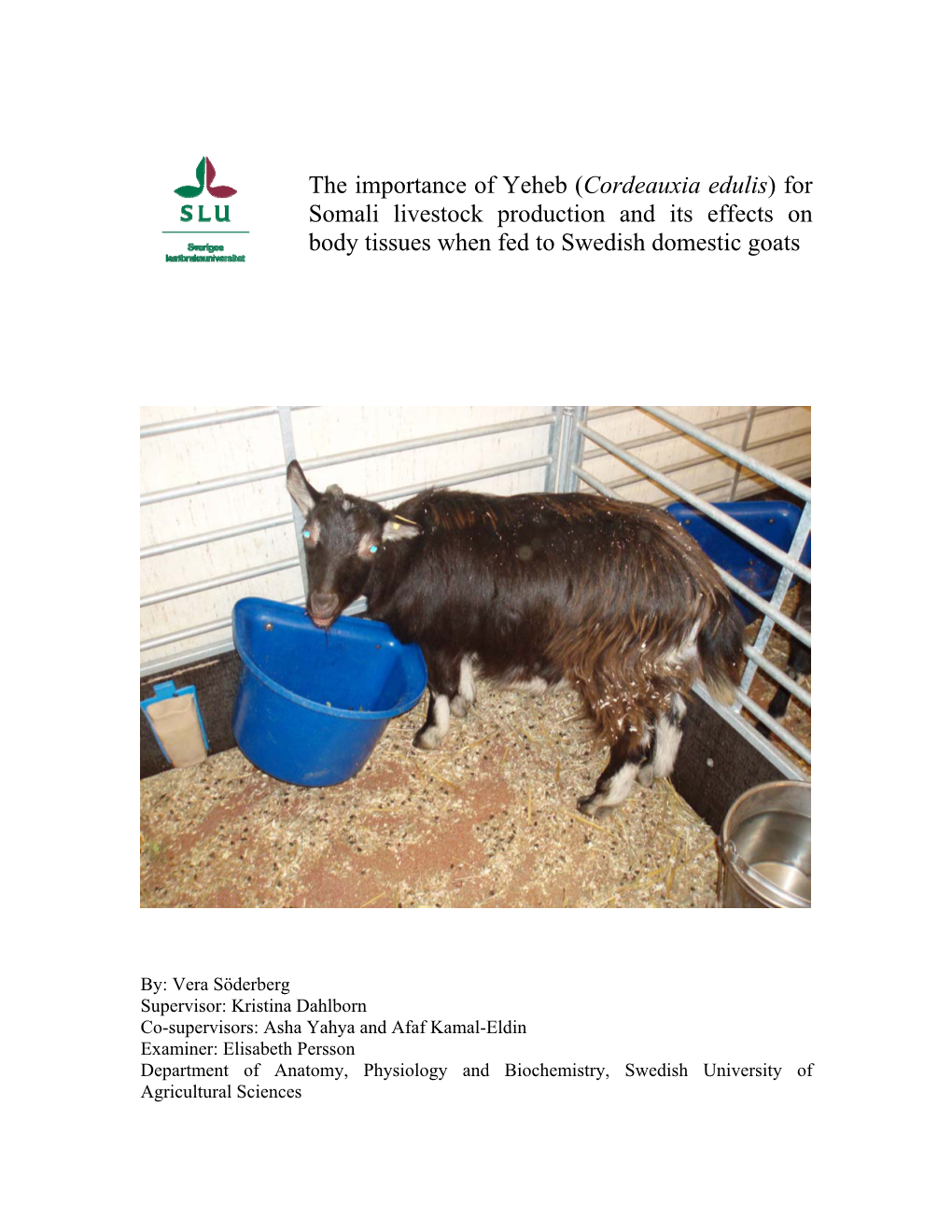 Cordeauxia Edulis) for Somali Livestock Production and Its Effects on Body Tissues When Fed to Swedish Domestic Goats