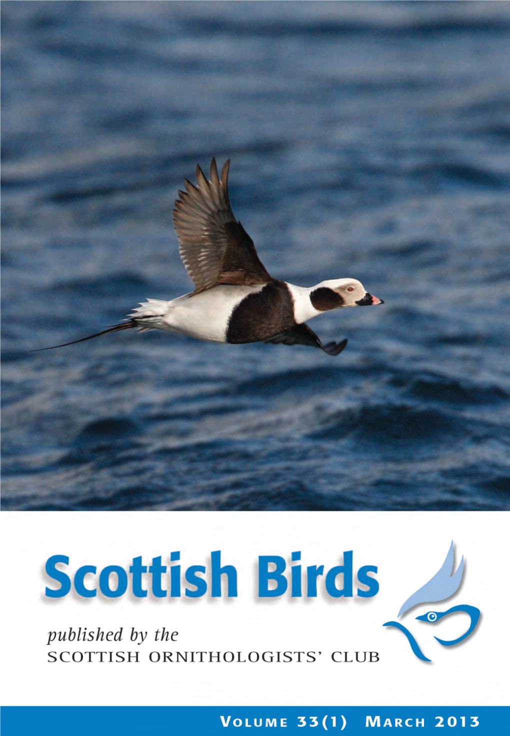 Scottish Birds 33:1 (2013)