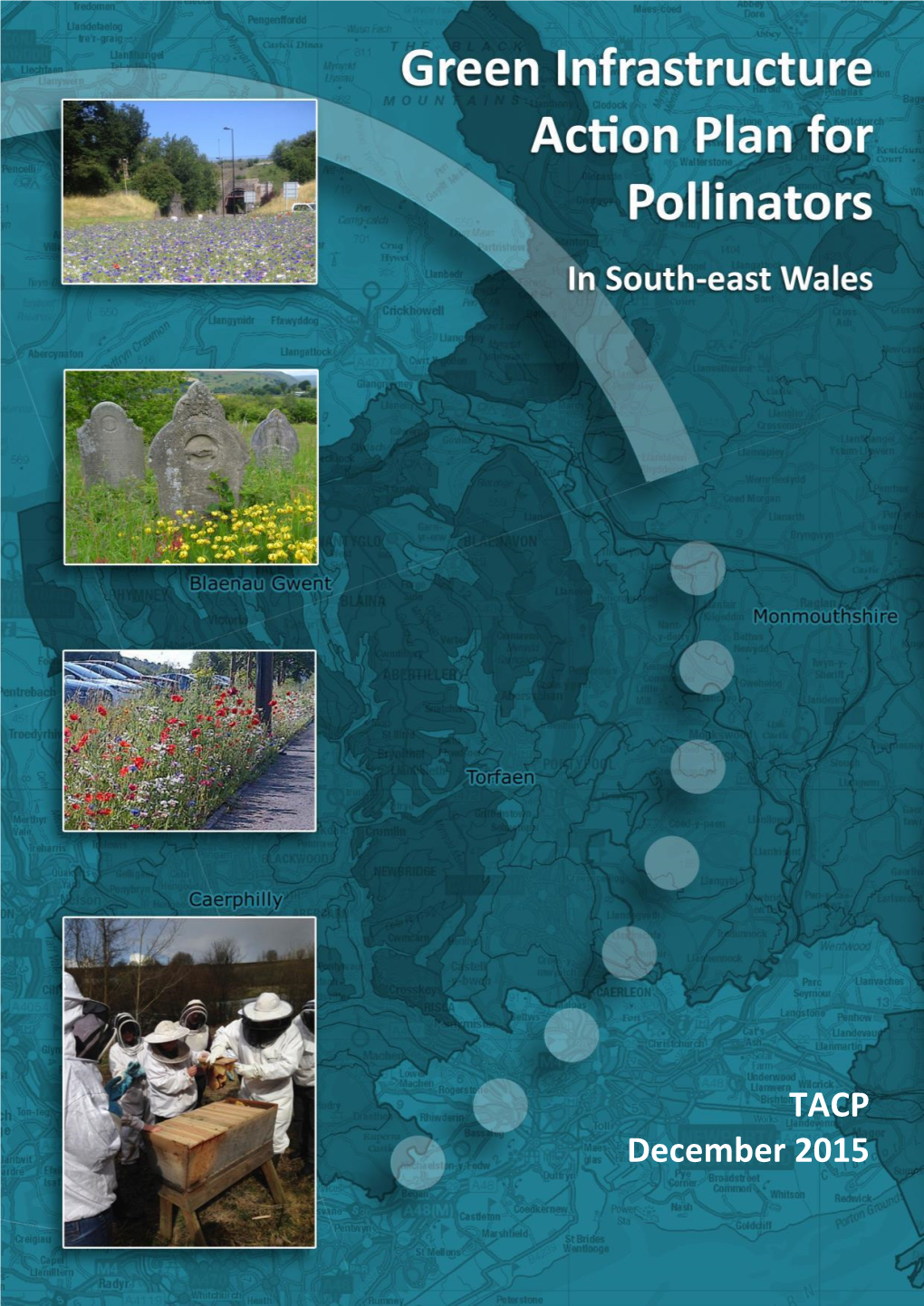 Green Infrastructure Action Plan for Pollinators in South-East Wales