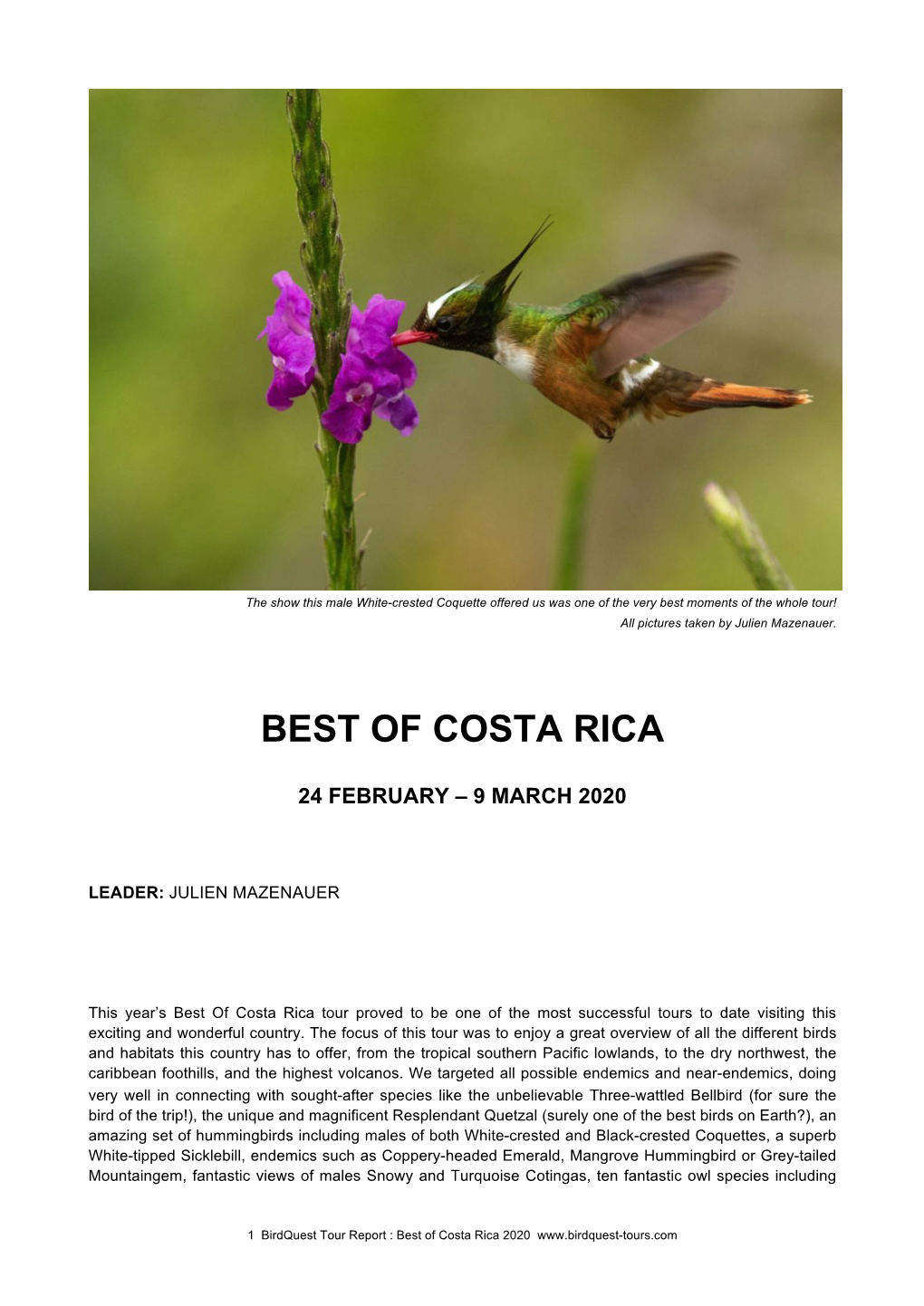 Best of Costa Rica Tour Report 2020