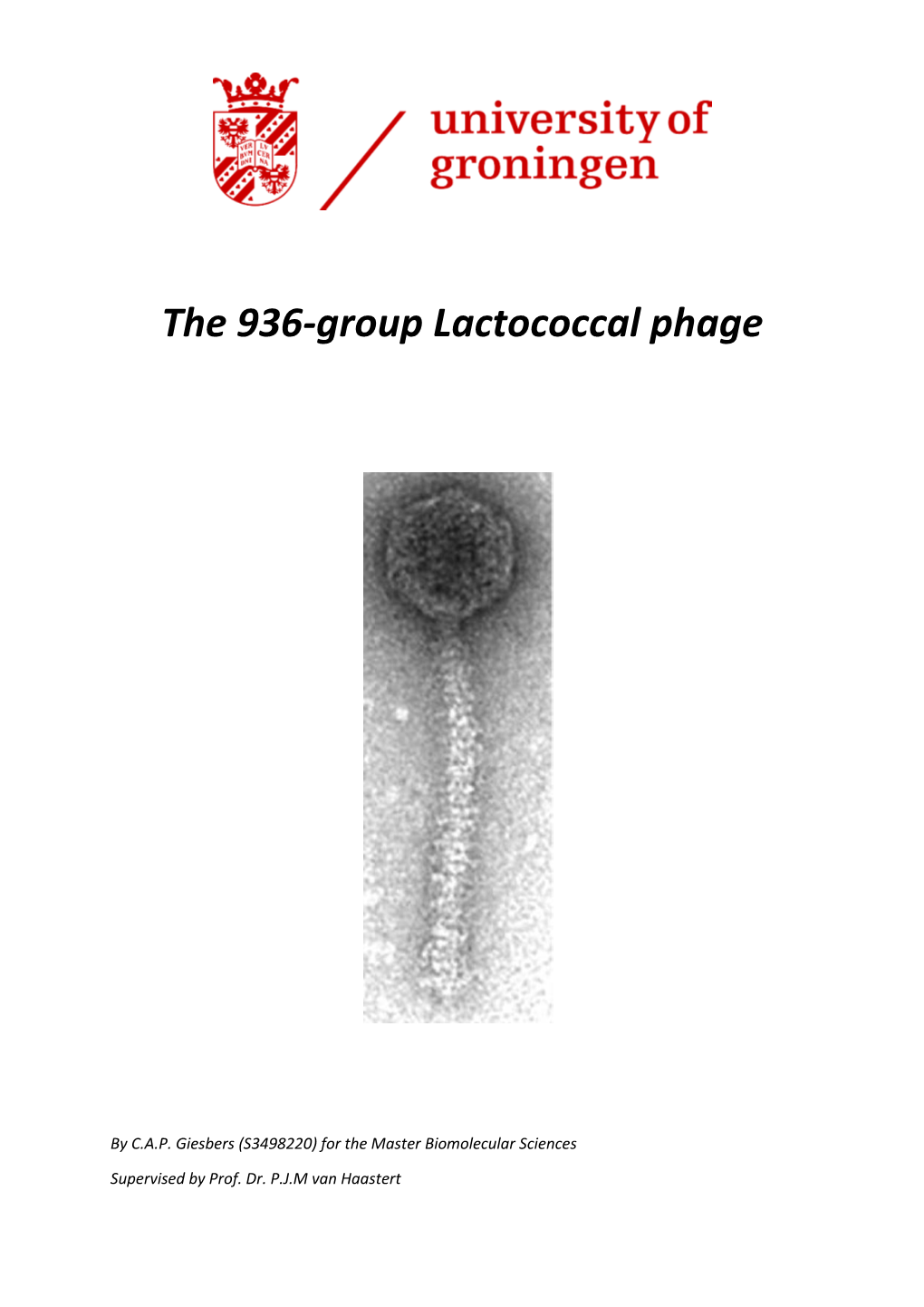 The 936-Group Lactococcal Phage