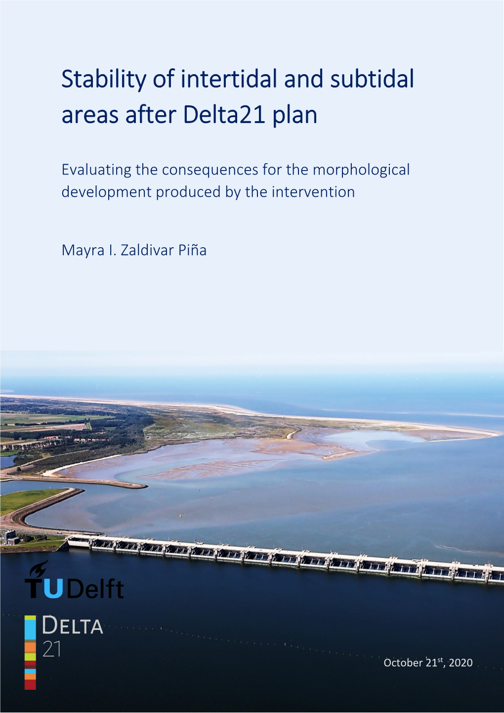 Stability of Intertidal and Subtidal Areas After Delta21 Plan