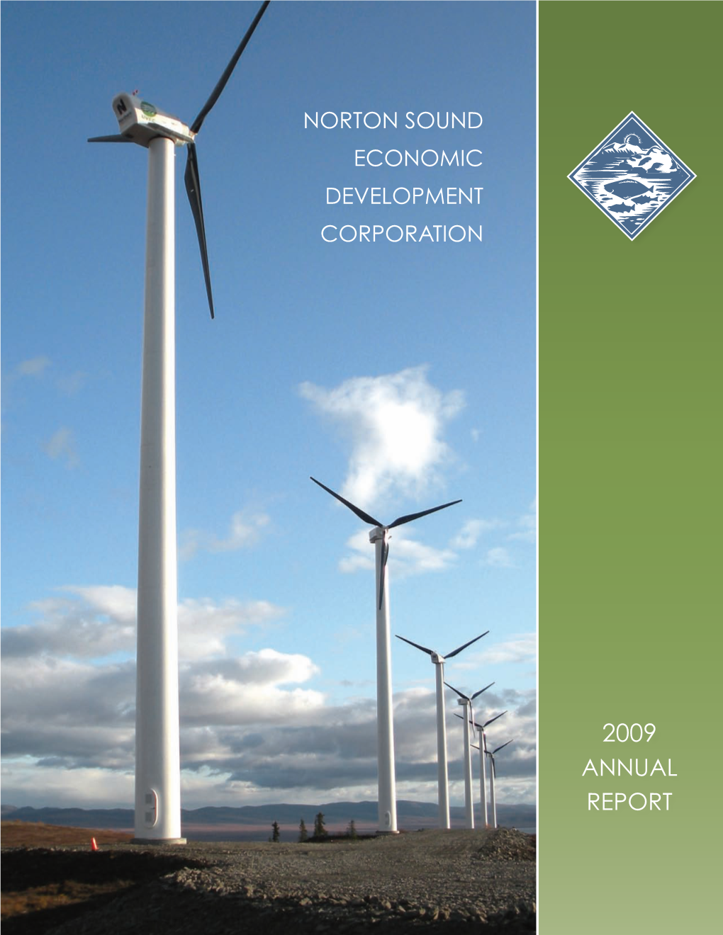 2009 Annual Report the Year in Review