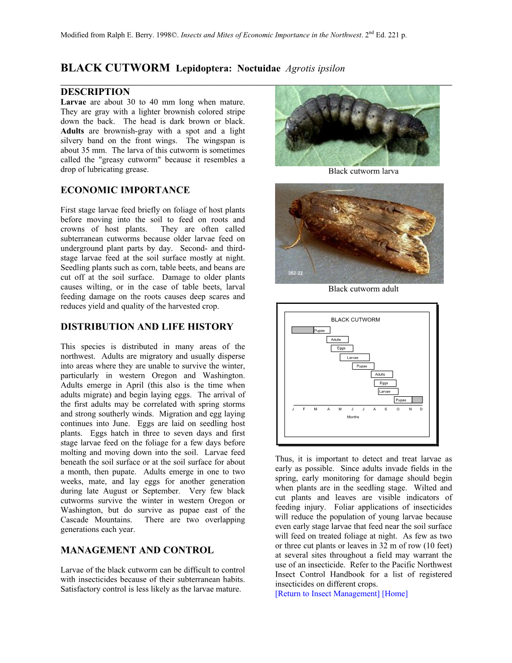 BLACK CUTWORM Lepidoptera: Noctuidae Agrotis Ipsilon ______DESCRIPTION Larvae Are About 30 to 40 Mm Long When Mature