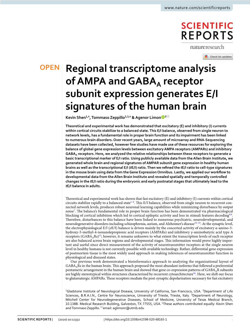 Regional Transcriptome Analysis of AMPA and GABAA Receptor Subunit