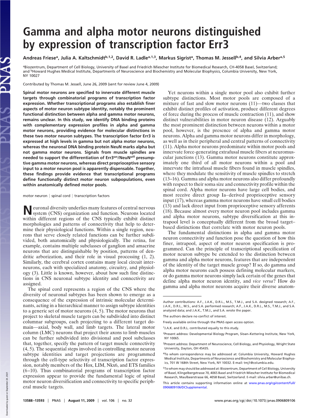 Gamma and Alpha Motor Neurons Distinguished by Expression of Transcription Factor Err3